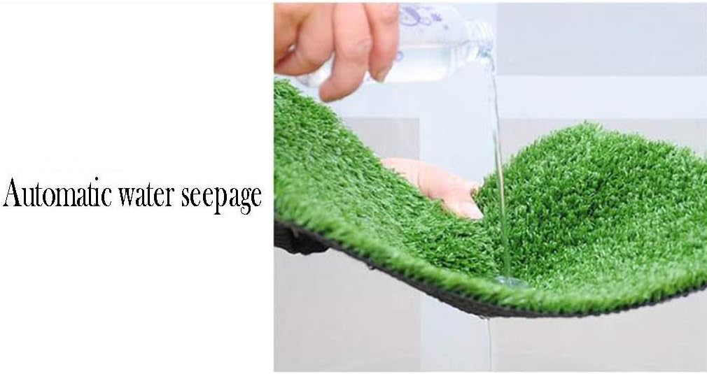 ① フィカス ベンジャミン ネジリ 8号 特大苗木最高等級極上品‼️